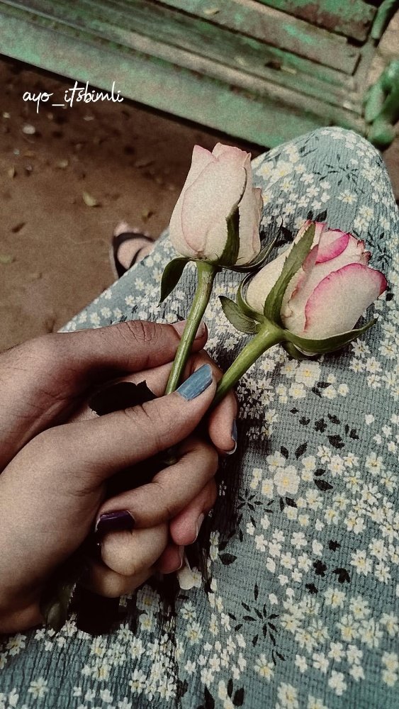 Roses in hand